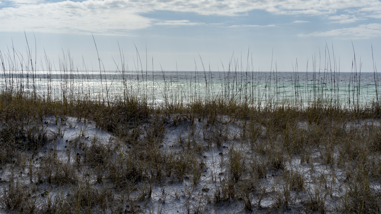 20160220-095922••Laguna Beach•Florida•USA